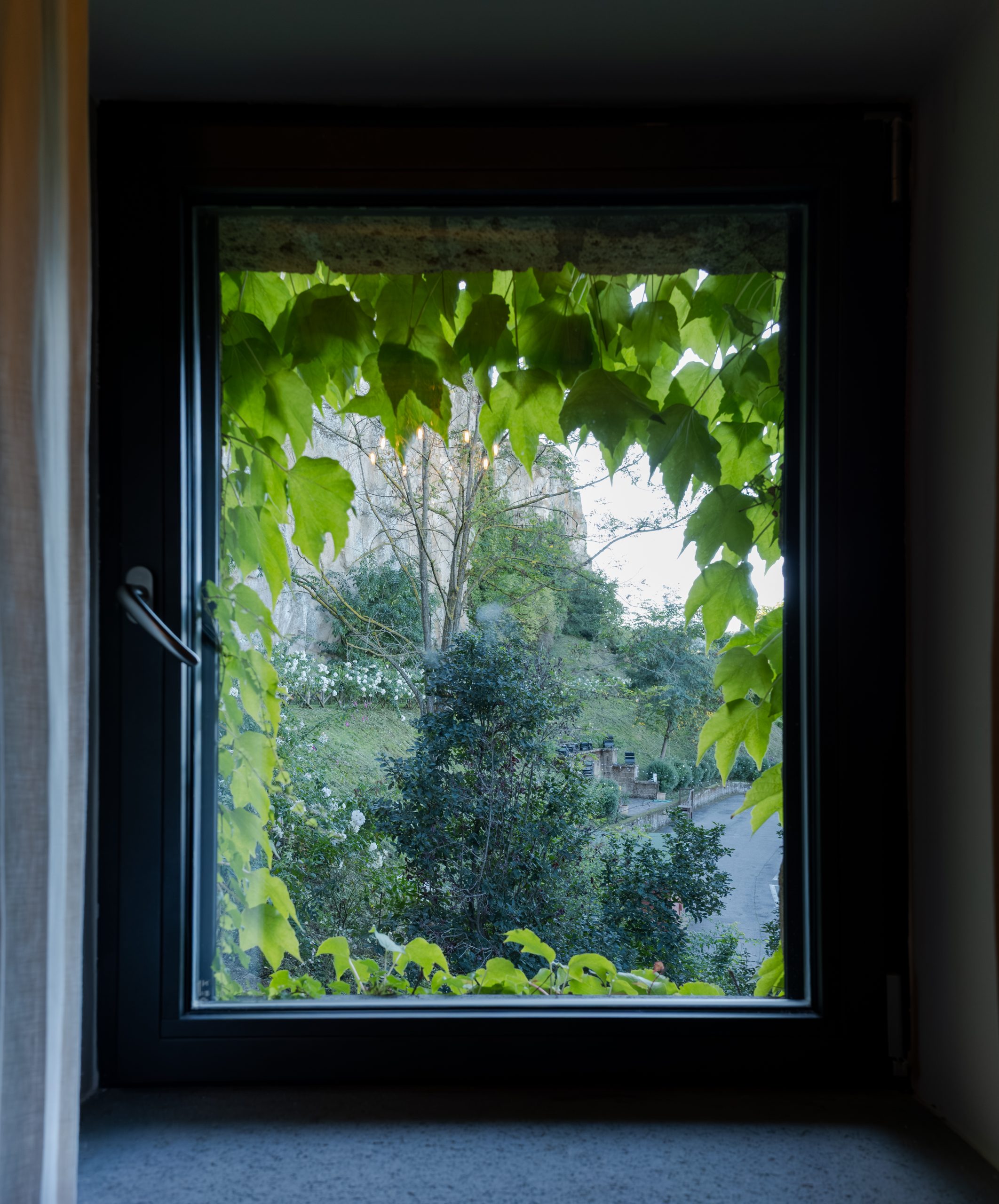 suite standard 3 SDIM3459